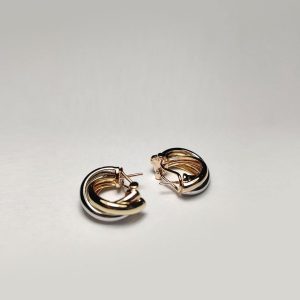 Home earrings 03 a